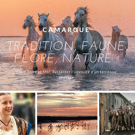 De Gardian Le Cailar