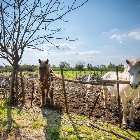 De Gardian Lägenhet *