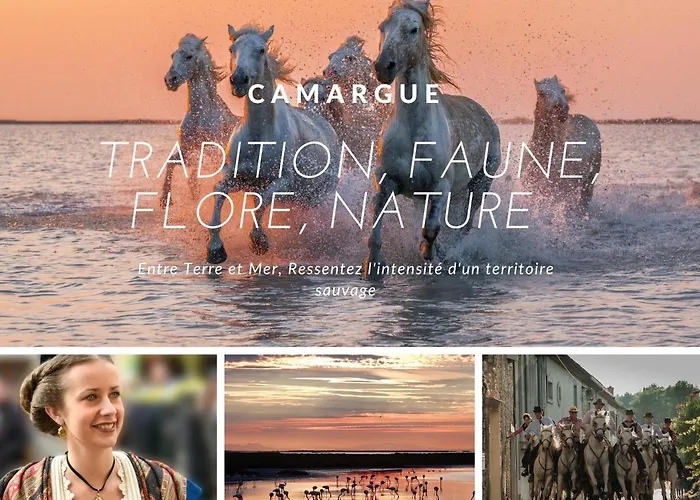 De Gardian Le Cailar