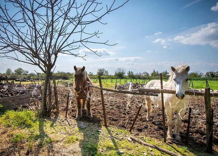De Gardian דירה *