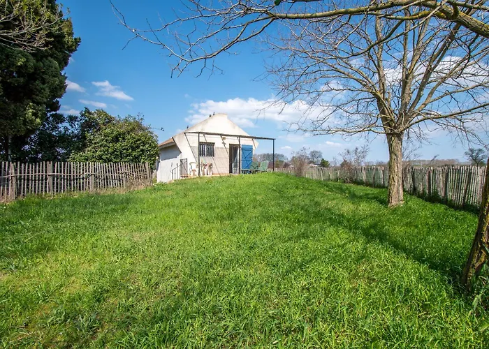 De Gardian * Le Cailar